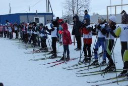 Первенство Дворца спорта 