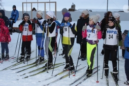 Первенство Дворца спорта 