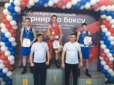 Бокс. г. Вельск_15