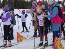 Первенство Дворца спорта 