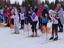Первенство Дворца спорта 