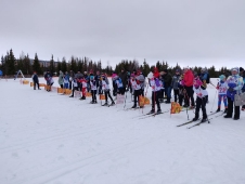 Первенство Дворца спорта 