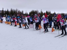 Первенство Дворца спорта 