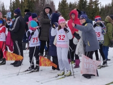 Первенство Дворца спорта 