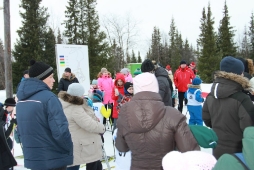 Открытое Первенство Дворца спорта 