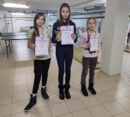 Открытое Первенство Дворца спорта 