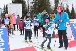 Открытое Первенство Дворца спорта 