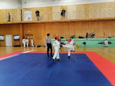 Турнир на Кубок Дворца спорта 