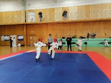 Турнир на Кубок Дворца спорта 