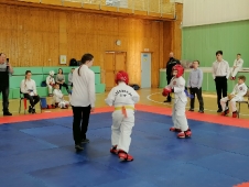 Турнир на Кубок Дворца спорта 