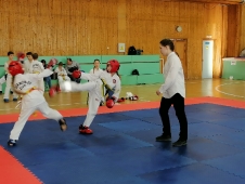 Турнир на Кубок Дворца спорта 