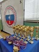 Турнир на Кубок Дворца спорта 