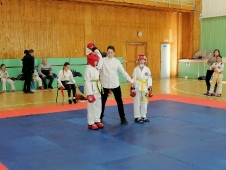 Турнир на Кубок Дворца спорта 