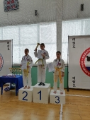 Турнир на Кубок Дворца спорта 