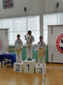 Турнир на Кубок Дворца спорта 