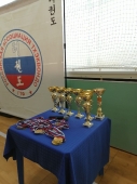 Турнир на Кубок Дворца спорта 