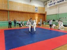 Турнир на Кубок Дворца спорта 