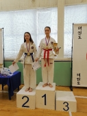 Турнир на Кубок Дворца спорта 