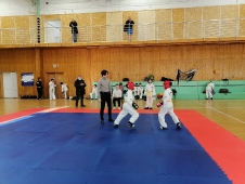 Турнир на Кубок Дворца спорта 