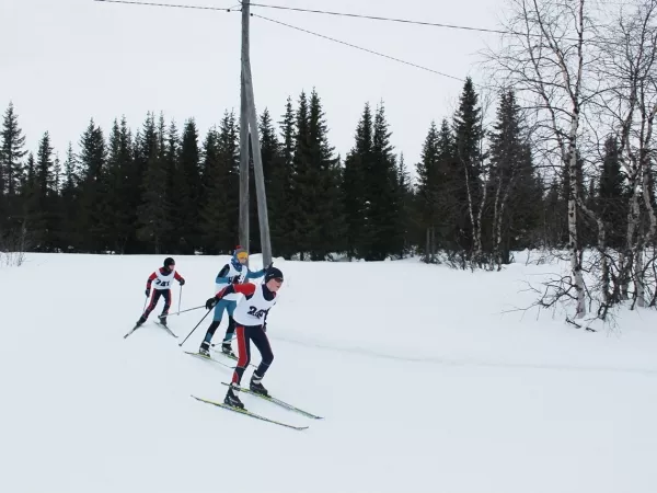 «Новогодняя лыжня-2015» _4
