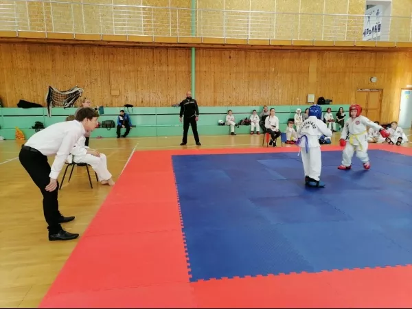 Турнир на Кубок Дворца спорта "Норд" по тхэквондо_17