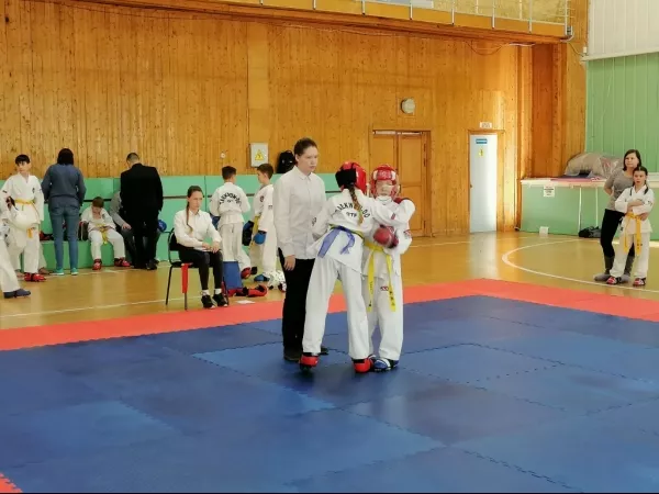 Турнир на Кубок Дворца спорта "Норд" по тхэквондо_21
